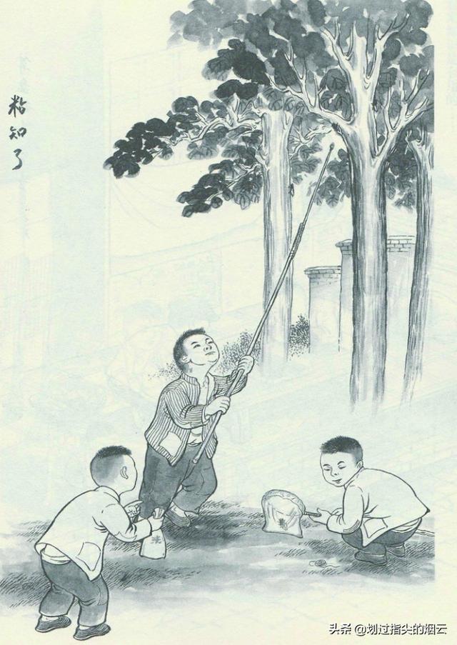 你的儿时趣事有哪些，我小时候的趣事有哪些（属于八十年代之前那群人的金色记忆）