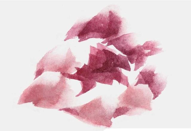 牡丹花简笔画简单又好看，简笔画画牡丹花（适合零基础绘画者学习）
