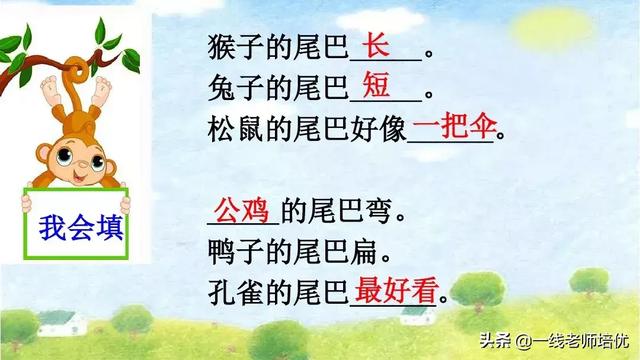 带有提手旁的字大多与什么有关，提手旁的字有哪些（部编版小学语文一年级上册第6课《比尾巴》重点知识+图文解读）