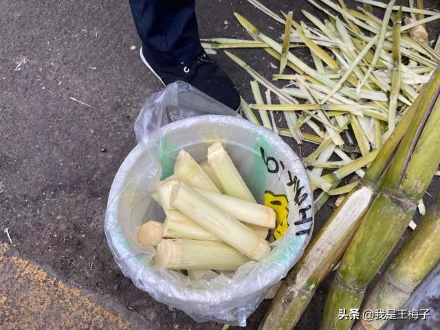 如何挑选甘蔗 甘蔗怎么挑选 甘蔗怎么买，如何挑选甘蔗（买甘蔗，挑细的还是粗的）