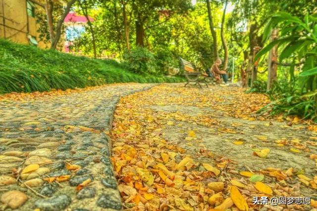 211非985大学名单，2021年九个顶尖211（<非985>和末流985）