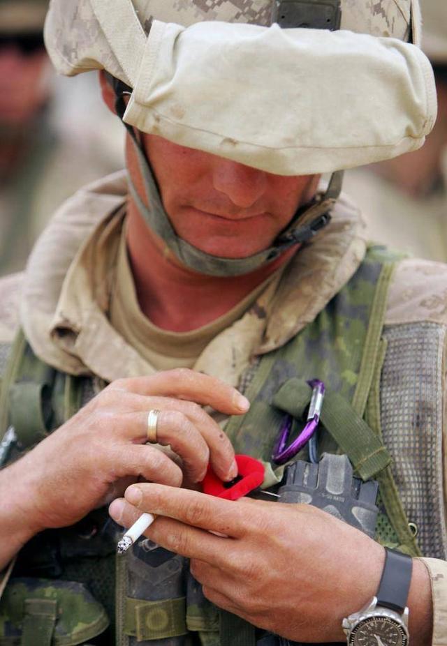 Poppies(罂粟花)网名，Poppies(罂粟花)（禁戴罂粟花纪念亡灵）