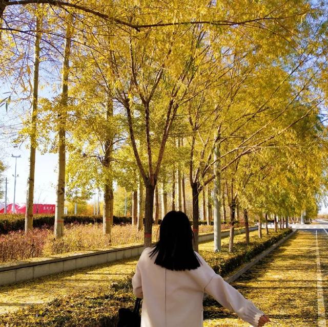 真人部位情头，微信头像，真人部位情头（愿你有能力）