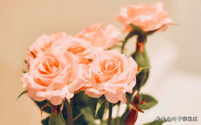 怎么追天蝎座女生，追天蝎女成功率最高的方法（撩他们只需要三句话）