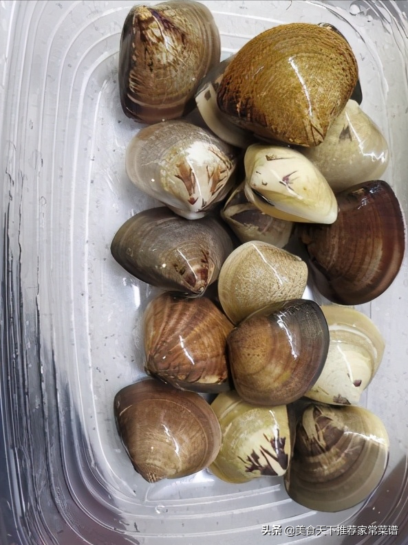 沙白汤的做法大全，沙白冬瓜汤的家常做法（美食推荐424期）