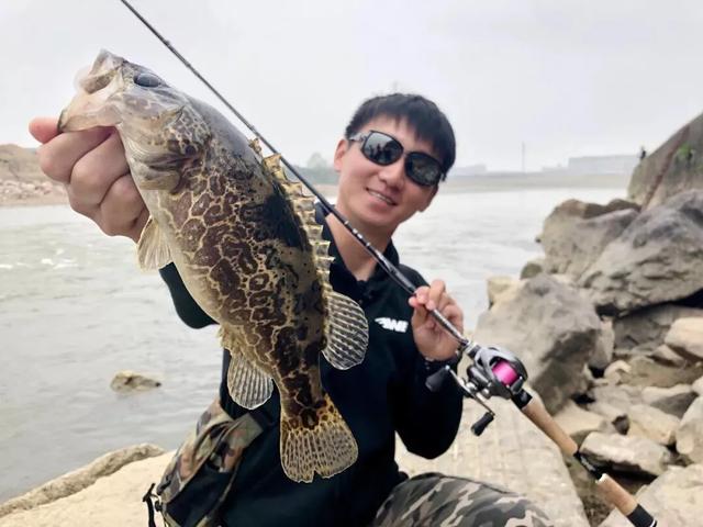 路亚能钓什么鱼，路亚竿能钓什么鱼（国内路亚的八种主要目标鱼及其分布）