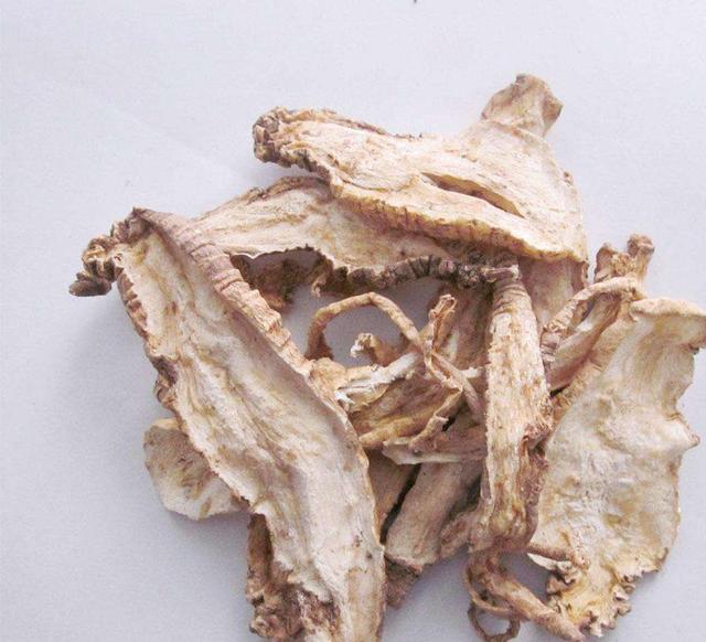 羊蹄根和羊乳根的区别，羊蹄根的功效与作用点（中药材羊乳根）