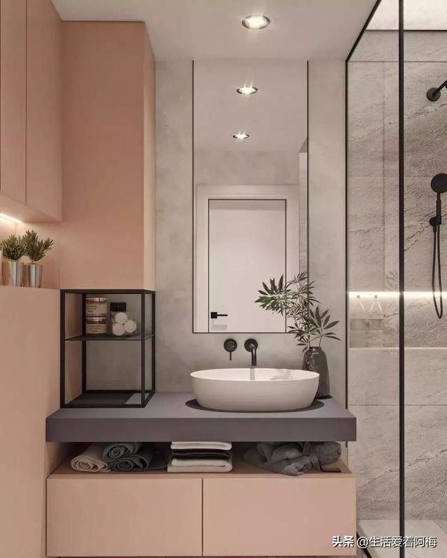 霸王芋，卫生间潮湿、发霉、不通风（霸王芋的养殖方法和注意事项）