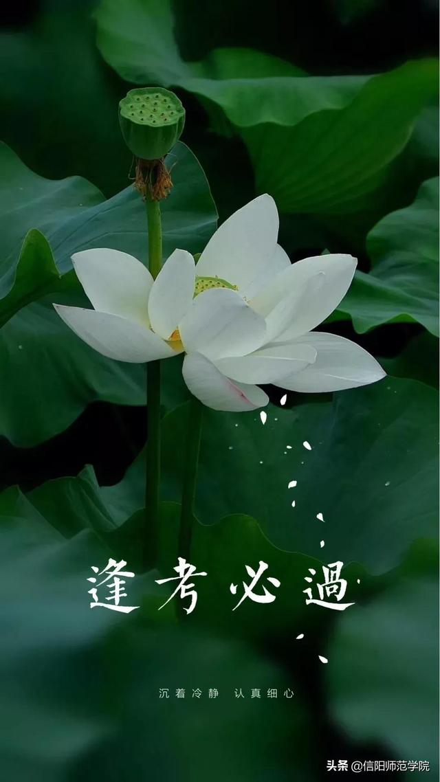 半角空格和全角空格区别，半角空格怎么打（这这这，事关考试，你都不看）