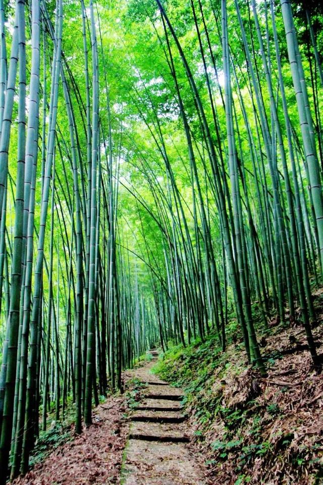成都市区必去一日游，成都市区一日游最佳攻略（推荐9个成都周边1日游好去处）