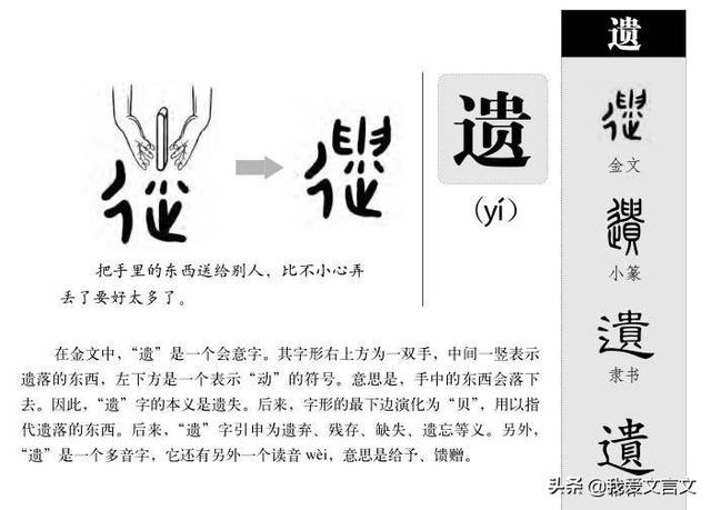 刑过不避大臣赏善不遗匹夫，刑过不避大臣的下一句是什么（经典文言文赏析 ， 杨震拒金）
