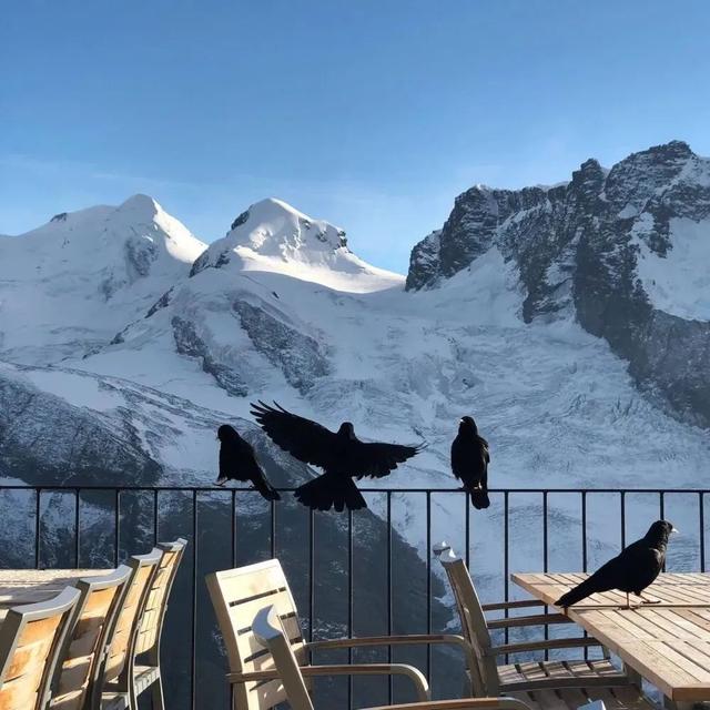 唯美头像，唯美头像女有气质迷人（唯美头像+背景图套图）