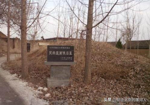 历史上有过罗成这个人吗，为何西平老王坡有罗成墓