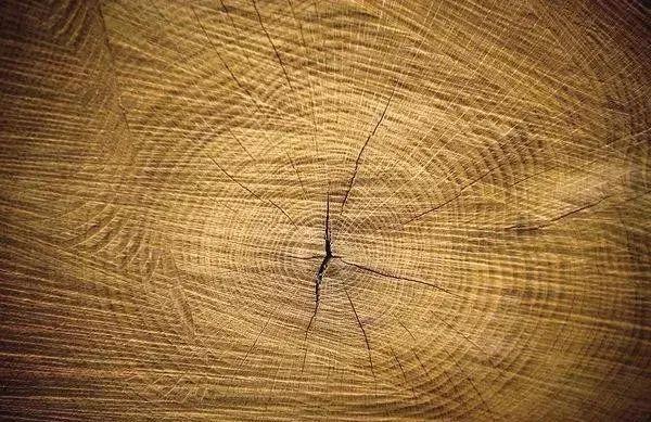 山崎威士忌为什么贵，世界上最著名的四大威士忌（为什么用过它的烈酒都身价飙升）