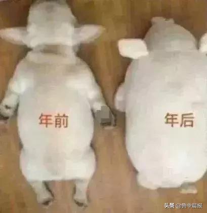 淄博市最新房价排名，淄博房价在全省的排名出来了