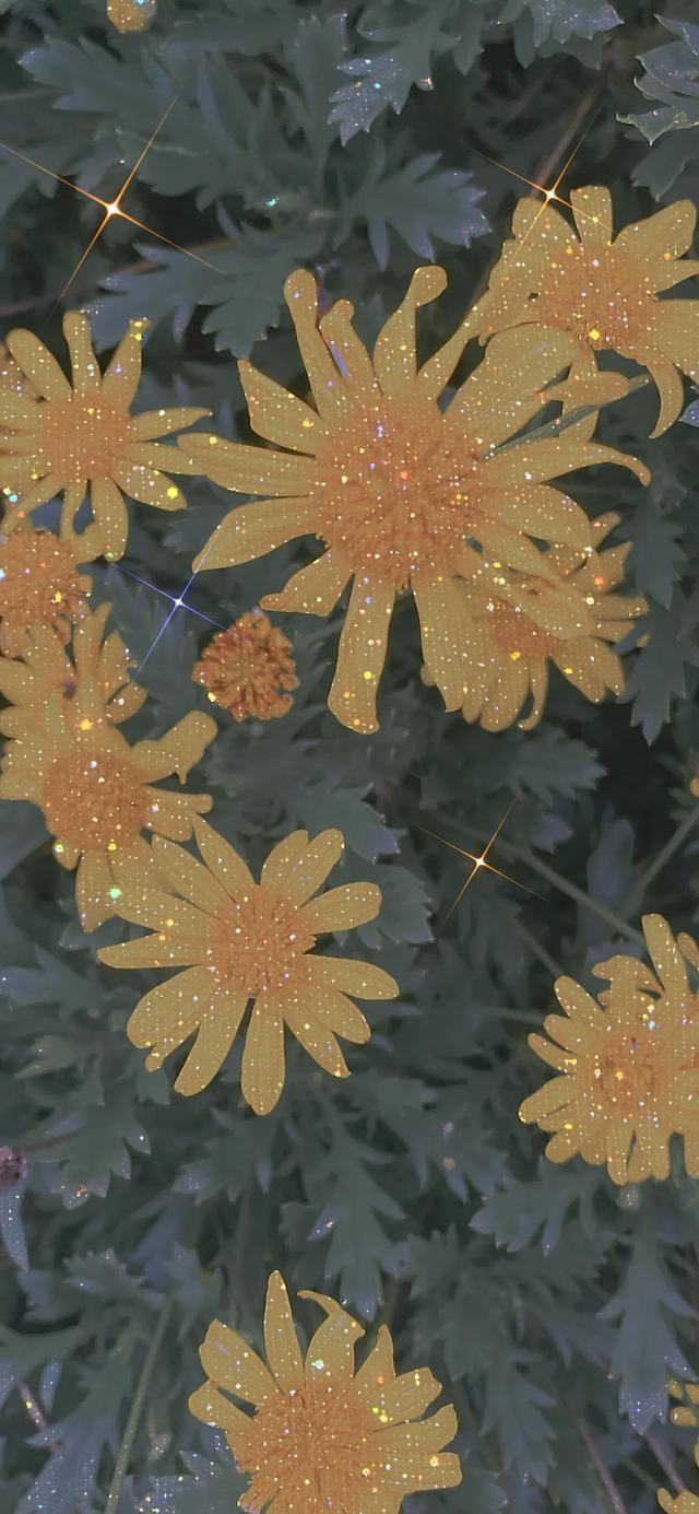 植物，微信头像，植物（清爽夺目的花花世界：）