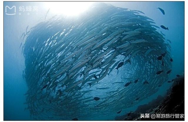 沙巴在哪里，沙巴在哪里啊（沙巴经典必游10个景点）