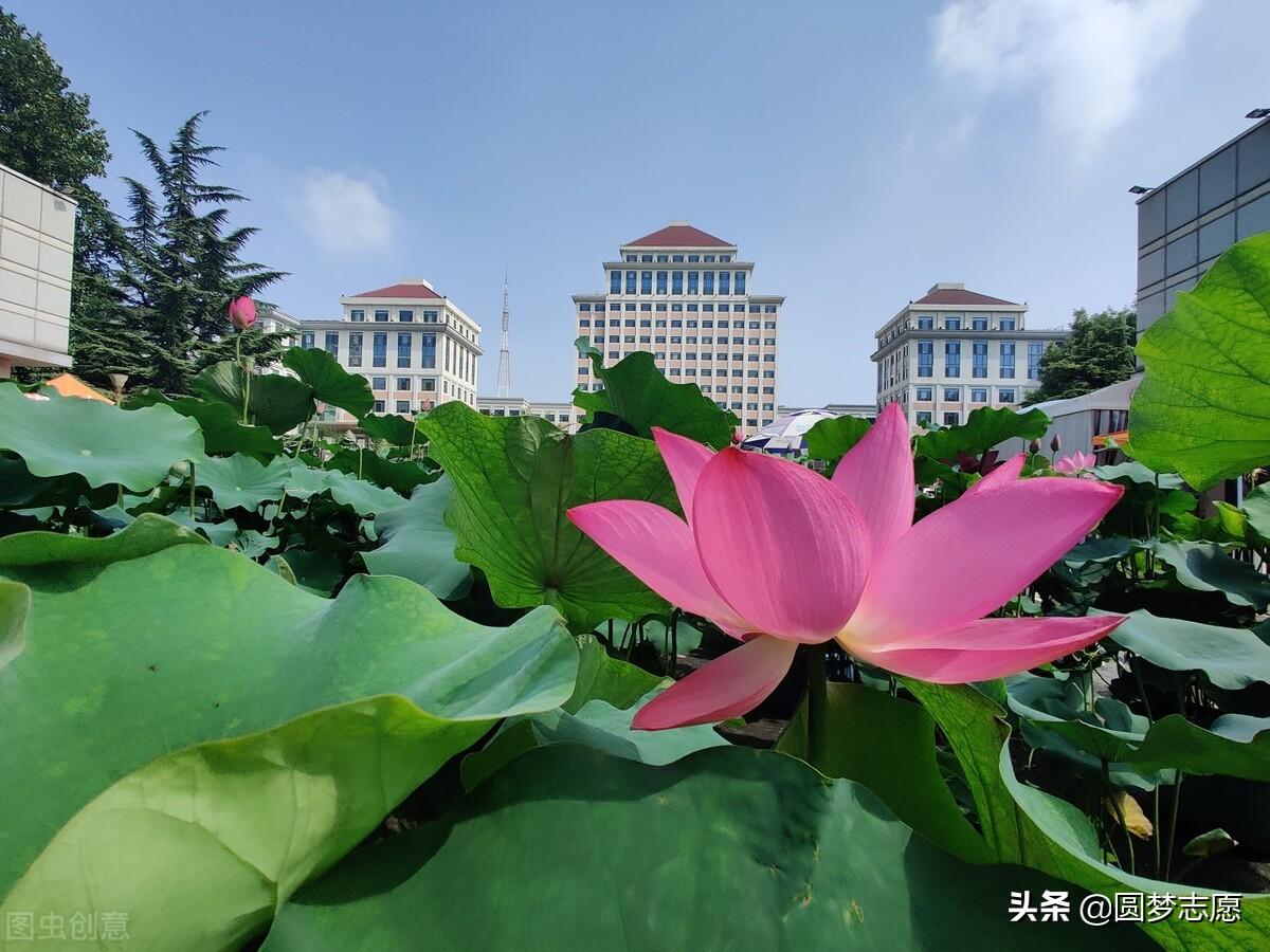 金融考研学校（金融行业认可度高的5所大学）