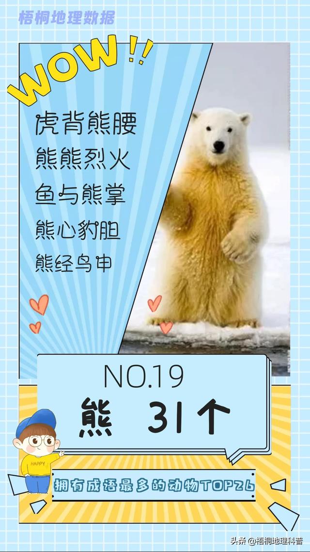 关于猫的词语有多少个，关于猫的词语有多少个词语（盘点哪种动物拥有的成语最多）