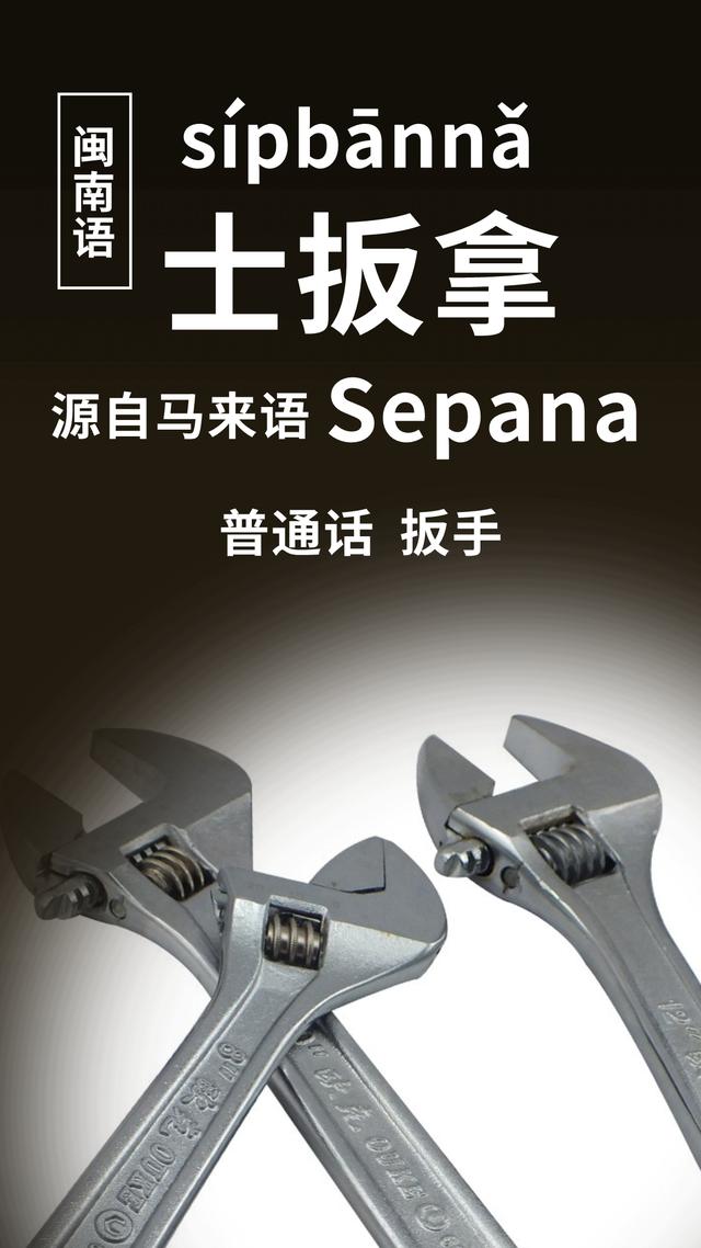 鲍鱼是什么意思网络语，女孩子鲍鱼是什么梗（闽南语里的“番仔话”）