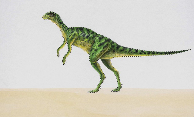 PS如何去除阴影，ps去除边缘杂色（PS技巧：使用填充命令）