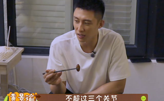 蚕蛹长大变成什么（黄景瑜全身不超过3个关节是好的）