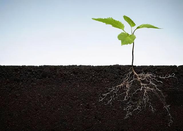 土的密度多少kg每立方米，土的密度一般是多少（楼顶种植与地面栽培有何不同）