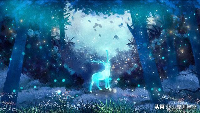 容易爱上陌生人的星座，陌生的人是什么星座（越相处越喜欢的星座）