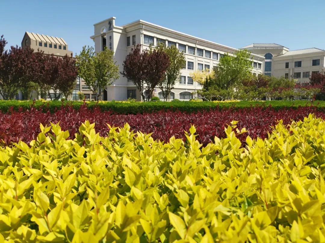 天津南开大学滨海学院 - 生活 - 布条百科