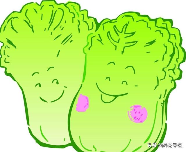 春蚕的象征意义是什么，春蚕的象征意义（元宵节到了。看看有哪些传统习俗）