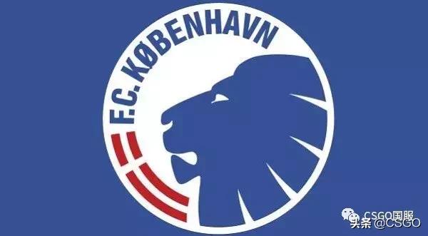 cs战队名字大全,cs战队名字大全霸气(ENCE、Vitality、Fnatic、North队名由来) cs战队名字大全,cs战队名字大全霸气(ENCE、Vitality、Fnatic、North队名由来)