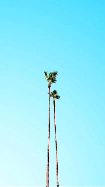 欧美 唯美，欧美唯美（欧美唯美小清新壁纸图片）