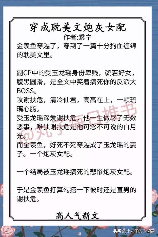 穿书耽美文，《师娘威武》《穿成耽美文炮灰女配》强推