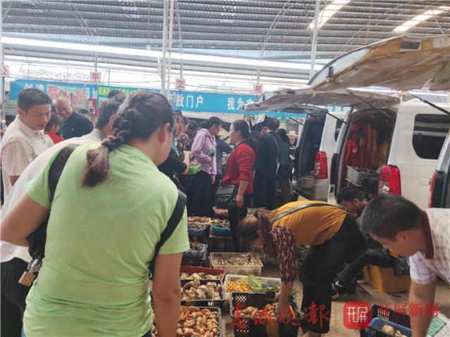 牛肝菌冷冻保存方法，牛肝菌冷冻保存方法图解（野生菌即将“退隐江湖”）