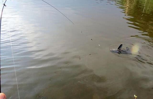 怎样正确使用海竿钓鱼，如何使用海竿钓鱼（从4个方面说说我的经验）