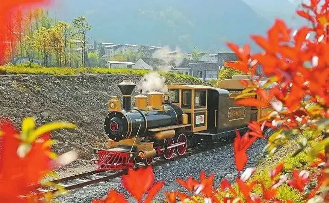 国内蒸汽小火车线路有哪些，蒸汽火车还有什么火车（国内最美景区小火车）