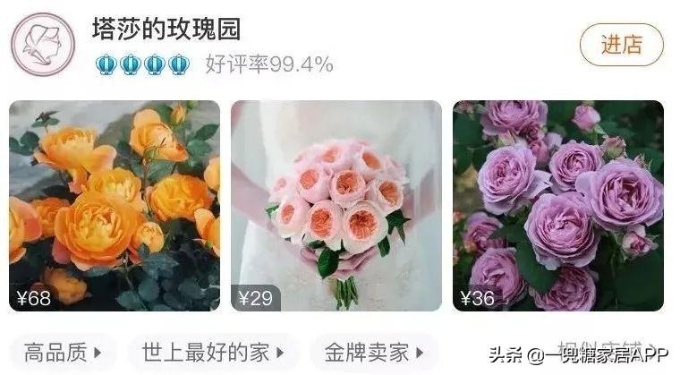 淘宝网花店(淘宝商城花卉市场)