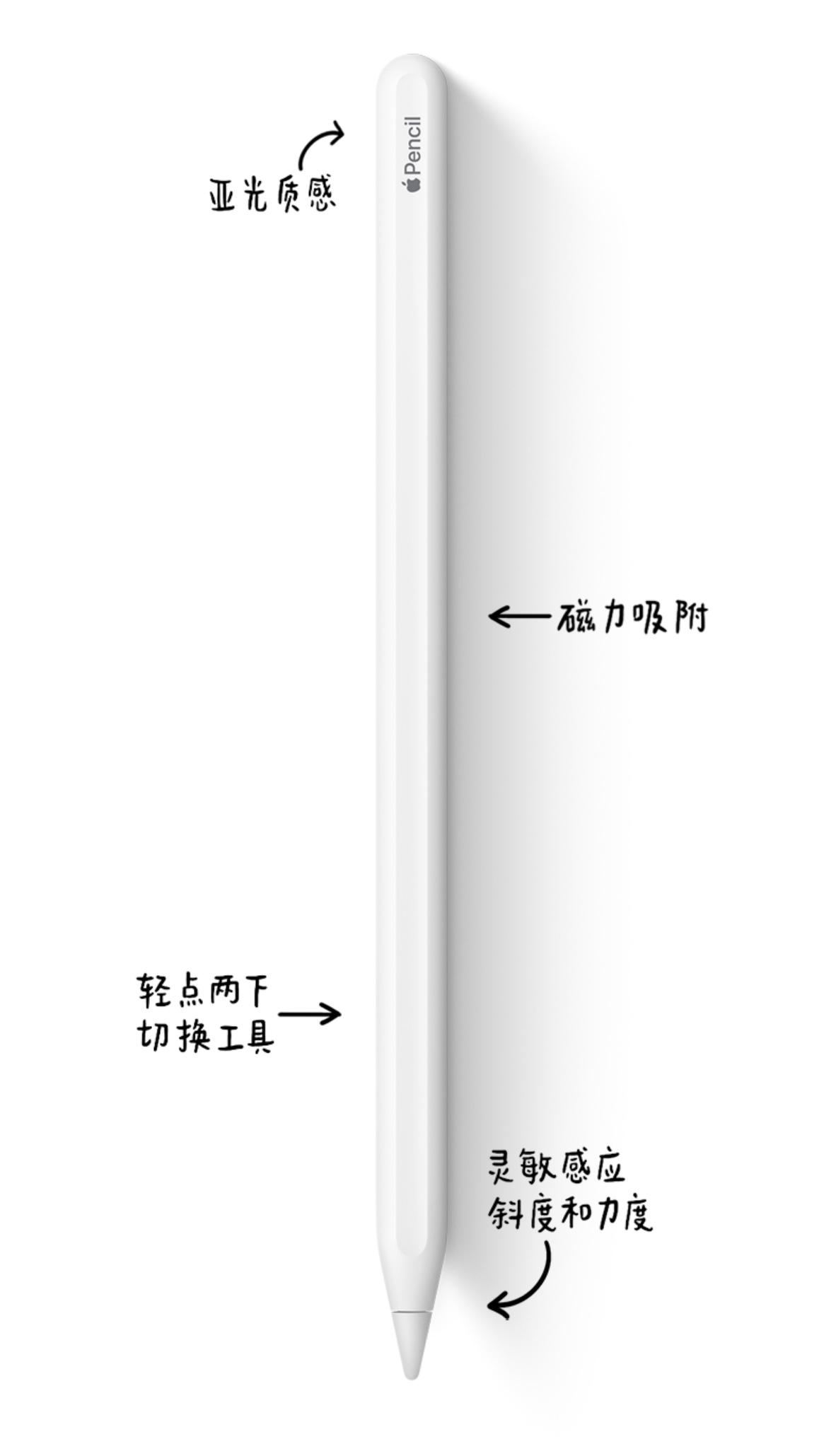 Apple Pencil怎么开启，Apple Pencil怎么用，Apple Pencil怎么开启（Pencil简单介绍）