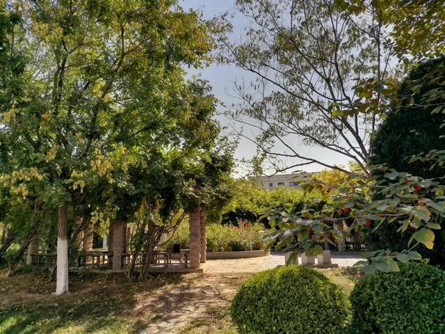 南开大学滨海学院是几本，南开大学滨海学院排名多少是几本（<一>南开大学滨海学院）