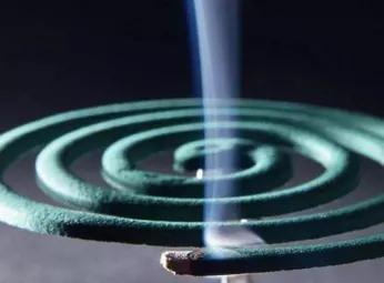 家里有小飞虫从哪里来,家里小飞虫从哪里来的(家里莫名出现的小飞虫你都认识吗) 家里有小飞虫从哪里来,家里小飞虫从哪里来的(家里莫名出现的小飞虫你都认识吗)