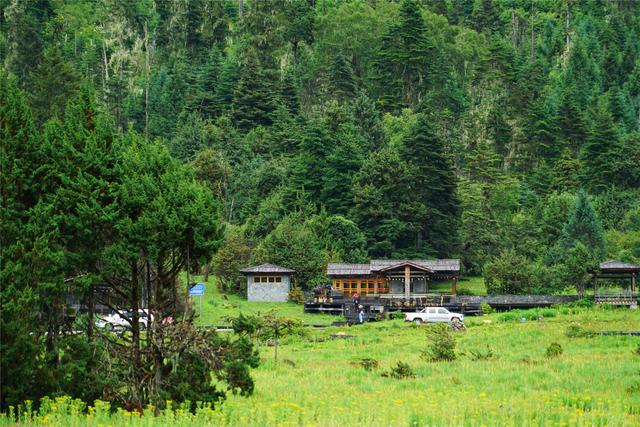 林芝旅遊景點,去林芝旅遊攻略(平均海拔2500風景美遊客卻很少)