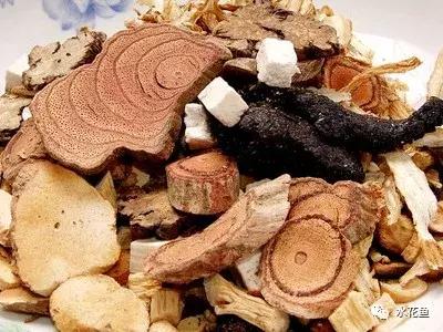 用什么农药药鱼，用什么农药药鱼最厉害（常用鱼药的优缺点与药用量及品种禁忌）