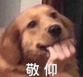 好好恋爱粤语歌词，好好恋爱 歌词（王子邓丽欣这段相差六岁的姐弟恋）