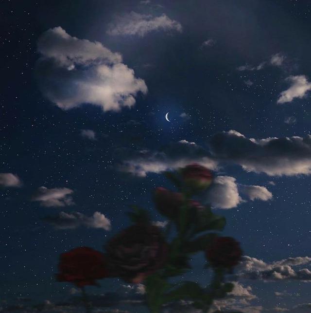 美好阳光且干净的女生头像  星空迷上了山野微信，美好阳光且干净的女生头像  星空迷上了山野，有雾有灯也有归人。（有哪些好看非人物的头像）