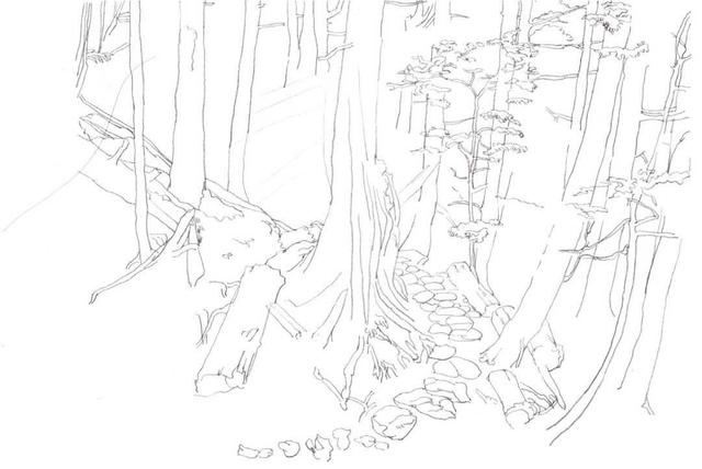 马克笔绘画教程风景画，马克笔绘画教程入门（适合初学者学习的彩铅风景画步骤教程）