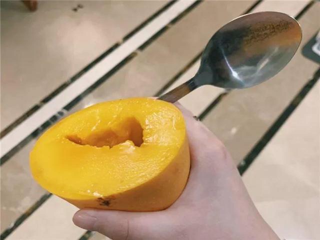 芒果种子怎么种，一个夏天就能长成小树苗