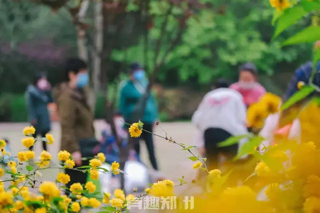郑州碧沙岗公园有什么好玩的，郑州碧沙岗公园游览图（郑州人习以为常的碧沙岗）