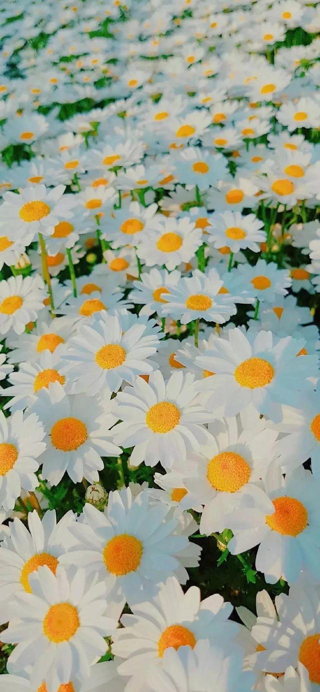 扎心背景图片。，微信扎心背景图（凌晨的故事最扎心）