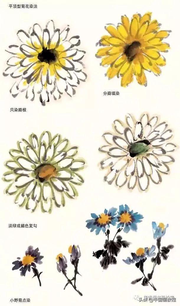 菊花的叶子怎么画，菊花的叶子怎么画简单（菊花花头的画法）