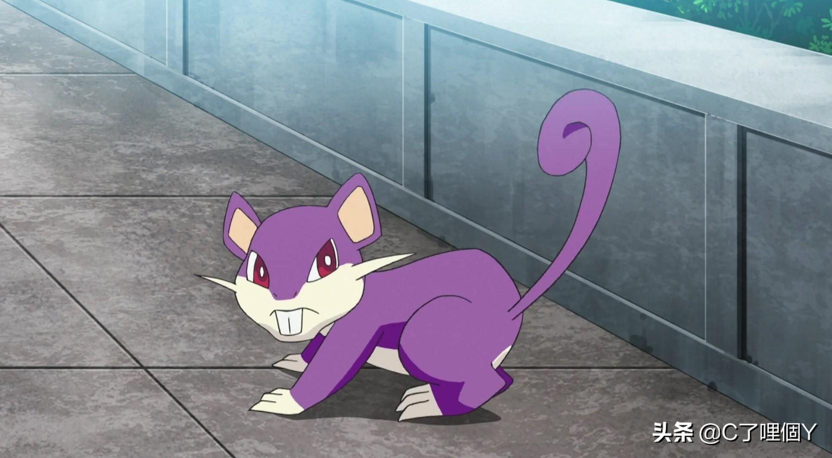 两个单词,属于一般属性,分类为鼠宝可梦,同样属于该分类的还有拉达